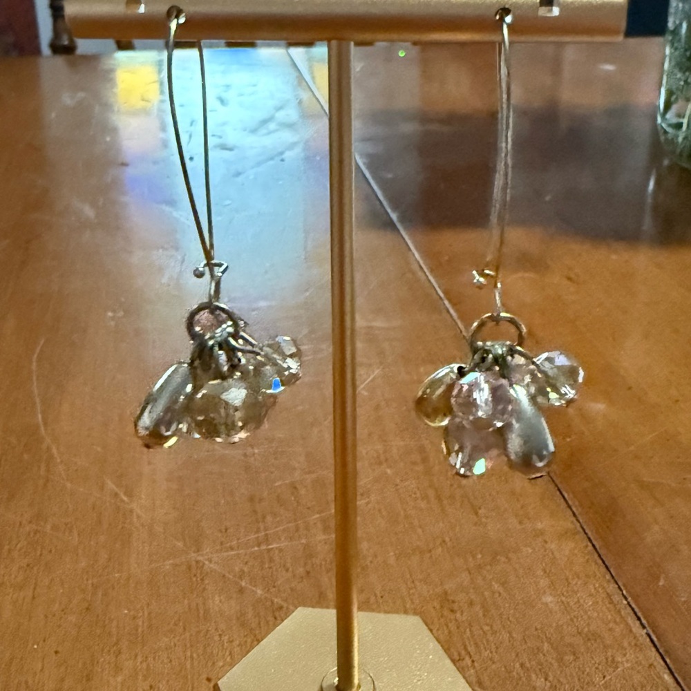Crystal Drop Earrings